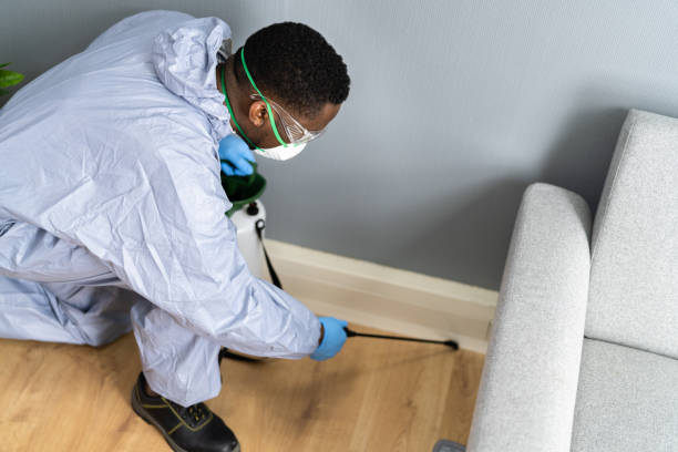 Emergency Pest Control in Wesley Chapel, FL